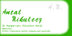 antal mikulecz business card